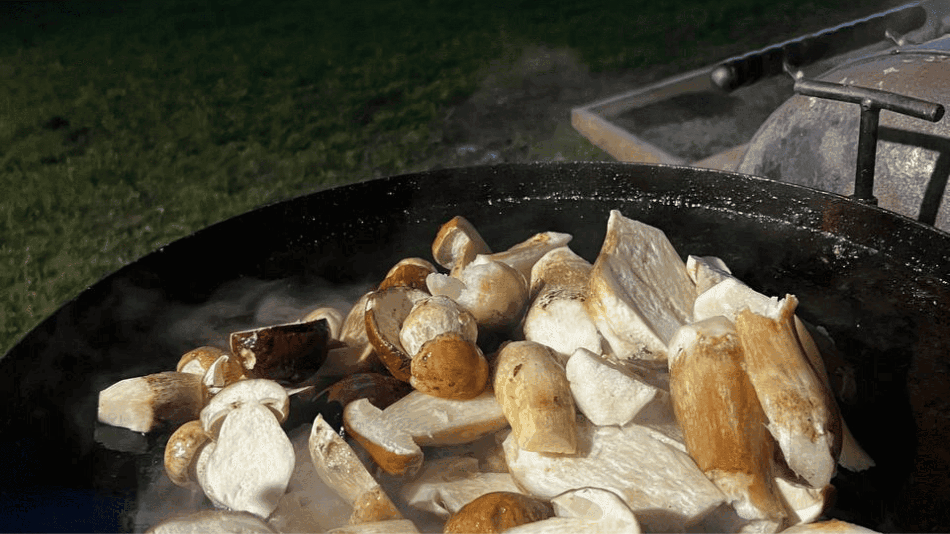 Карпатський ліс, забарвлений в осінні кольори