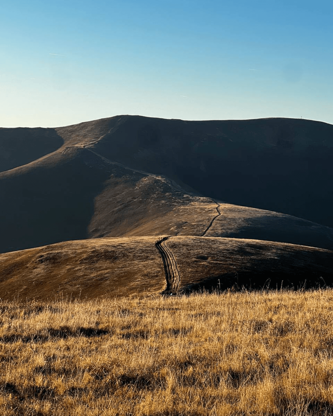 Дерев'яний фасад котеджу на фоні осіннього лісу