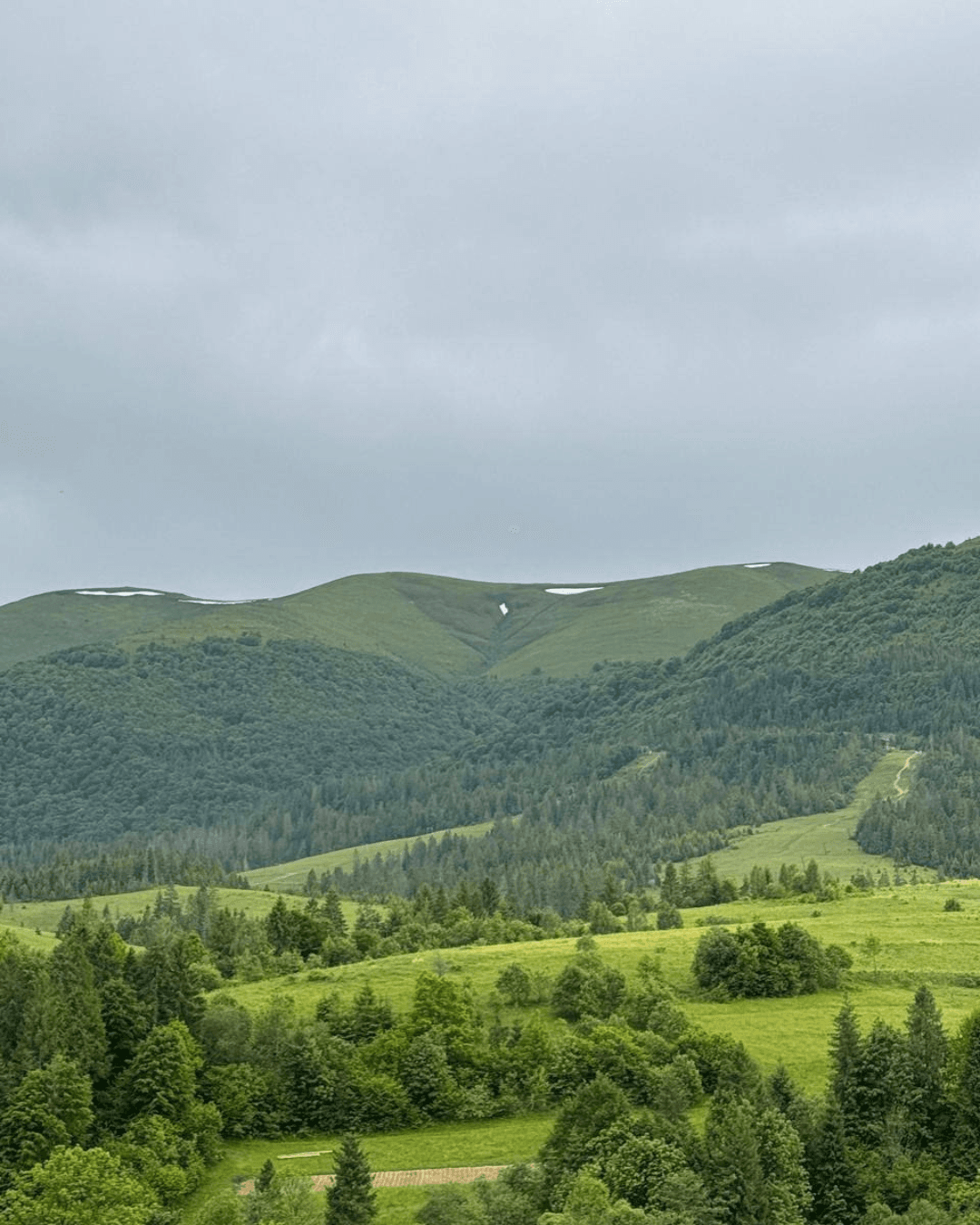 Літній краєвид з котеджу Sota Ski Dream на гори.