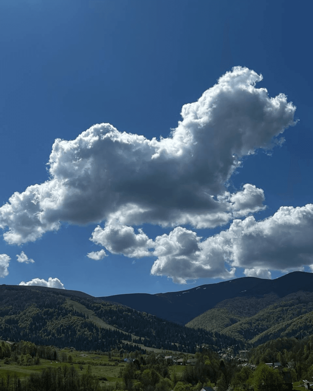 Простора вітальня з виходом на терасу, літній день.