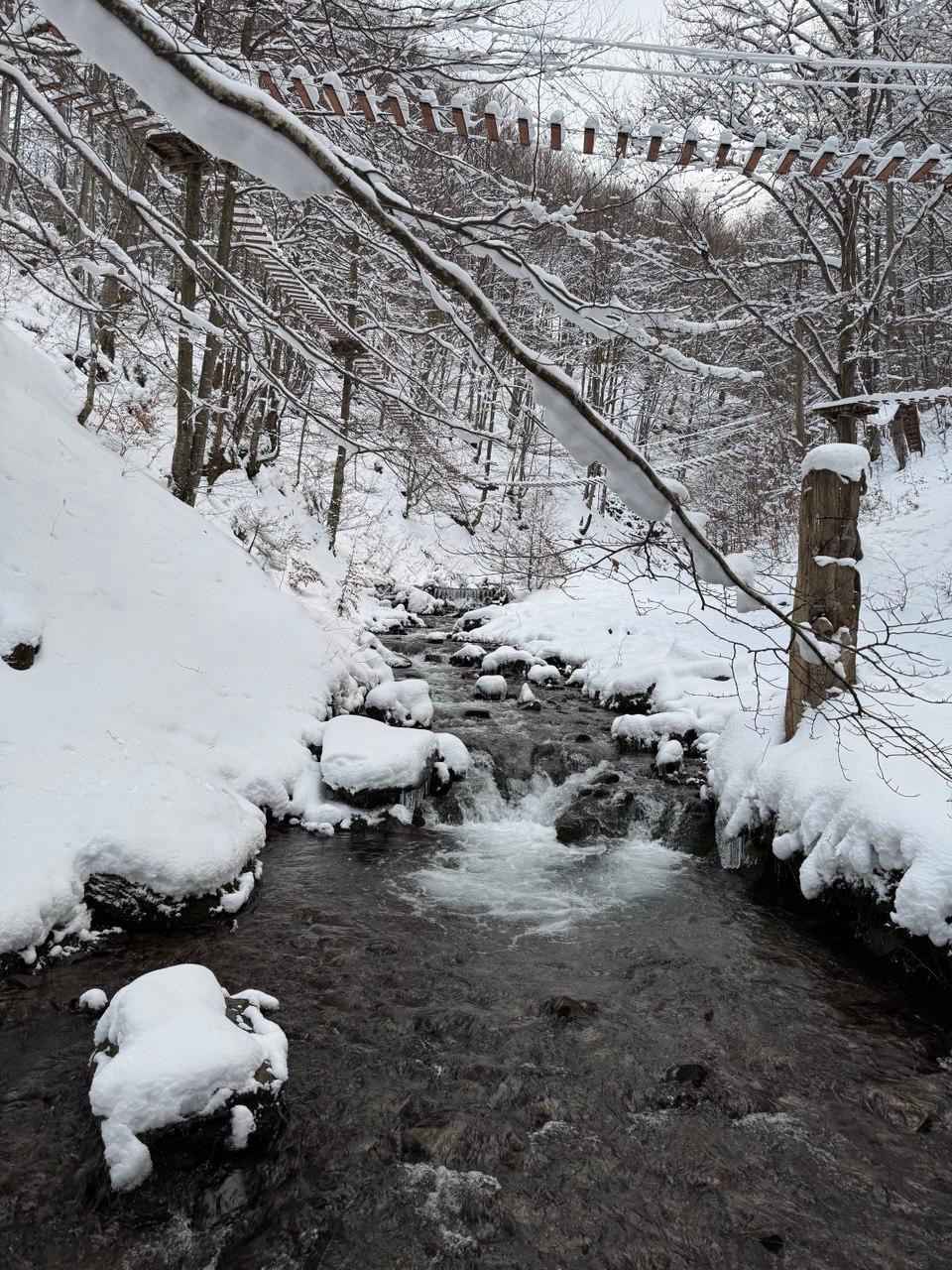 Фото котеджу Sota Ski Dream у сезон "winter" (2)