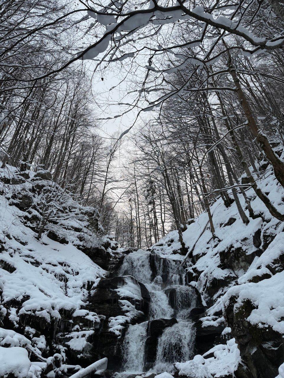 Фото котеджу Sota Ski Dream у сезон "winter" (4)