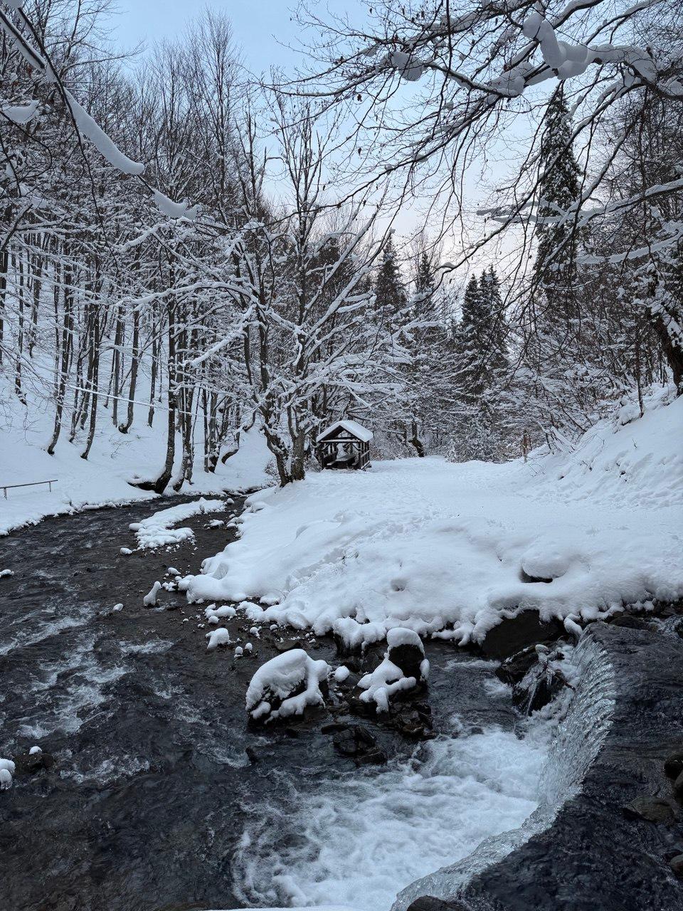 Фото котеджу Sota Ski Dream у сезон "winter" (8)