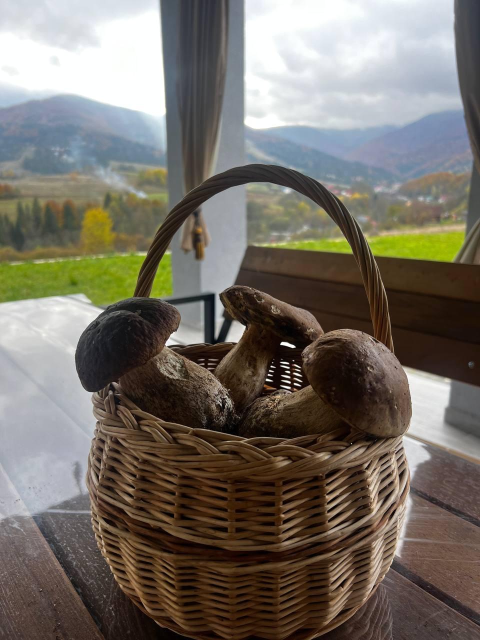 Інтер'єр та екстер'єр котеджу Sota Ski Dream, фото 14