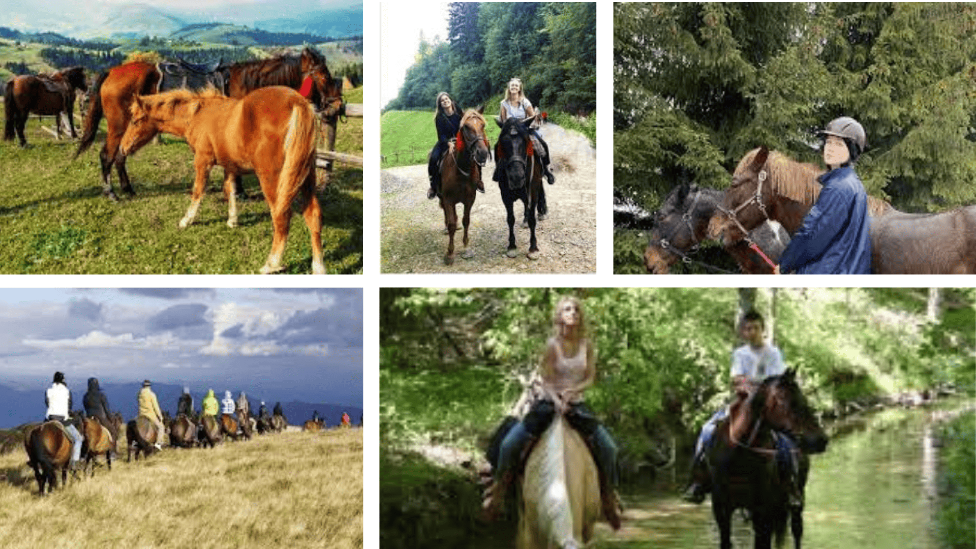 Кінна прогулянка карпатським лісом на фоні гір