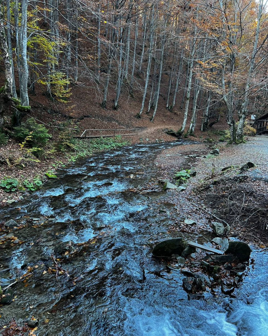 Вечірній вид на котедж Sota Ski Dream в осінніх сутінках