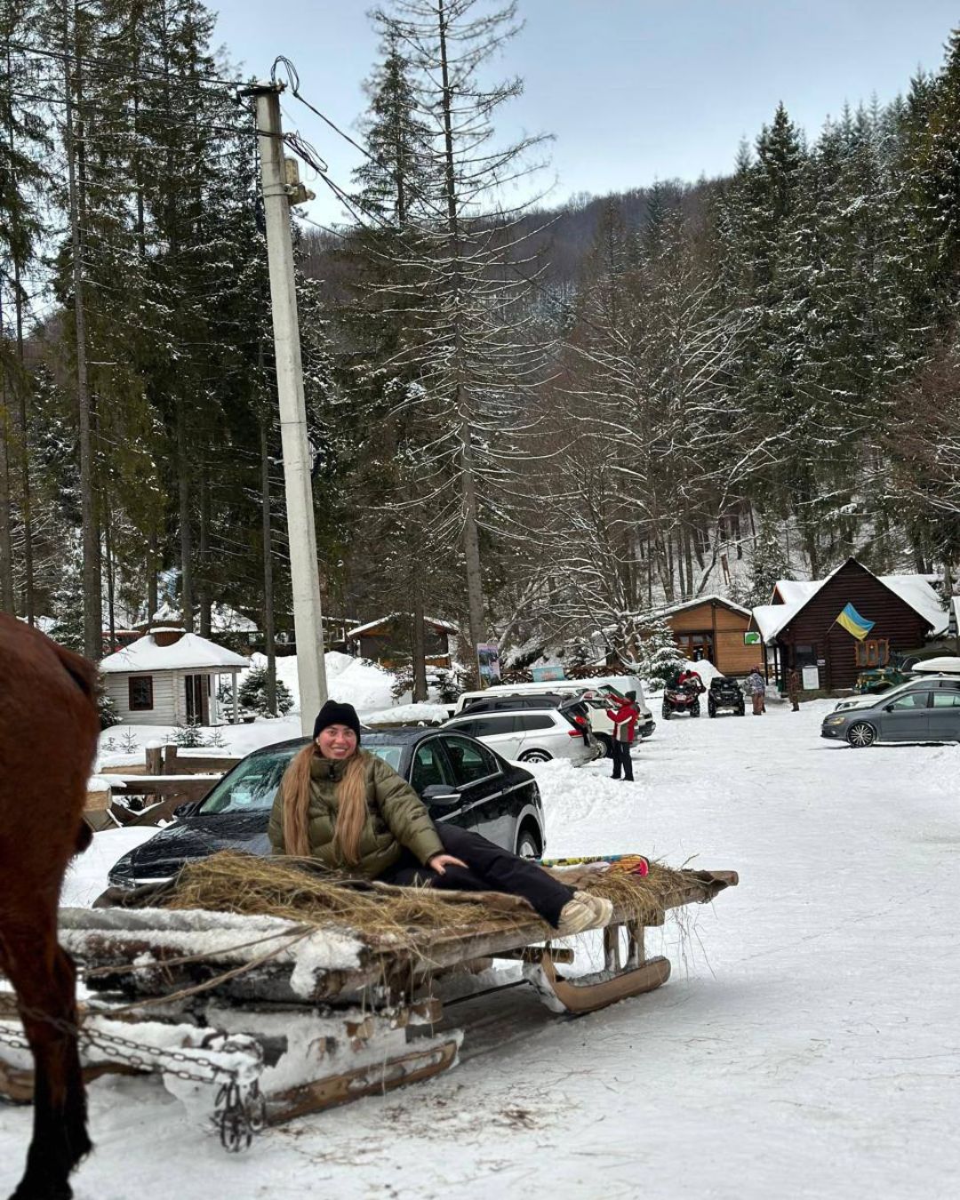 Інтер'єр та екстер'єр котеджу Sota Ski Dream, фото 47