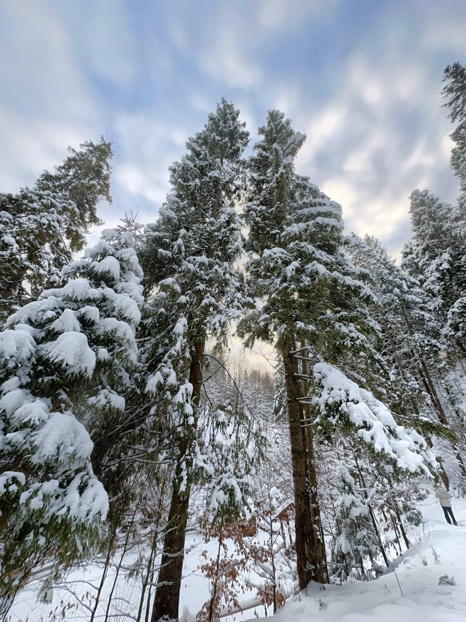 Фото котеджу Sota Ski Dream у сезон "winter" (13)