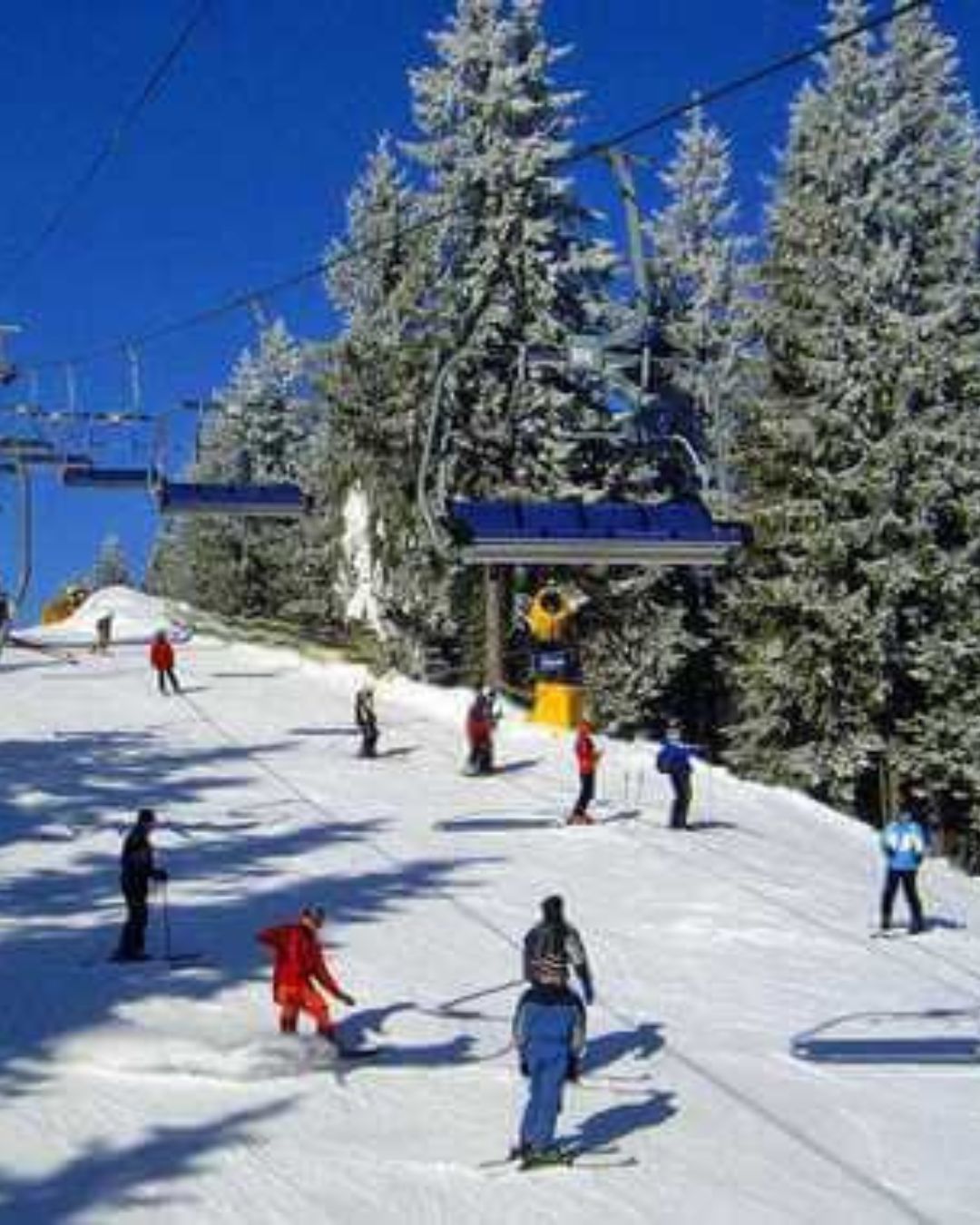 Фото котеджу Sota Ski Dream у сезон "winter" (22)